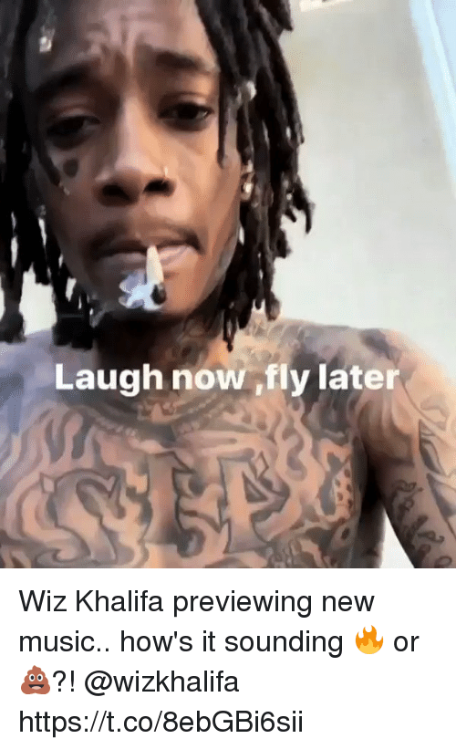 Wiz Khalifa Laugh Now Fly Later Download